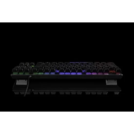 Cosmic Byte CB-GK-20 Styx TKL Membrane Gaming Keyboard with Rainbow LED (Black)