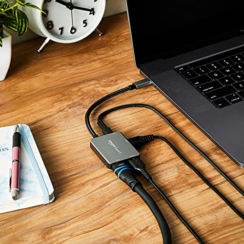 AmazonBasics Amazon Basics 4-in-1 USB Type C Adapter (Grey) Port
