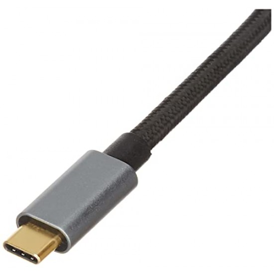 AmazonBasics Amazon Basics 4-in-1 USB Type C Adapter (Grey) Port