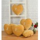 Love Heart Shape Cushions with Fillers (13X13Inch) (Pack of 5) (Beige)