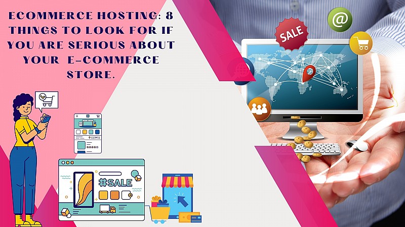 What is Ecommerce Hosting