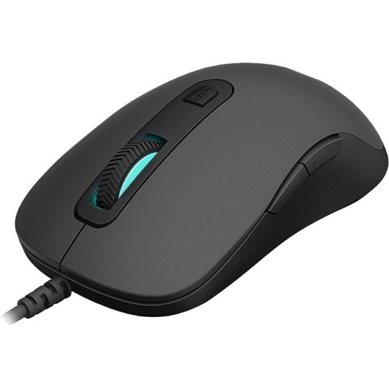 RAPOO V16 Wired Optical Gaming Mouse (USB 2.0, Black)
