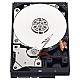 Western Digital Blue WD2500AAKX 250GB Internal Hard Drive