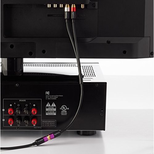 amazon basics 2-Male To 1-Female Rca Y-Splitter Adapter Cable For Dvd Player Gold