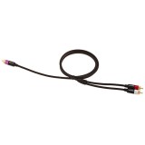 Amazon Basics 1-Male to 2-Male RCA Audio interconnects for DVD Player, Television - 4 feet, 1-Male to 2-Male Amazon Basics 1-Male to 2-Male RCA Audio interconnects for DVD Player, Television - 4 feet, 1-Male to 2-Male