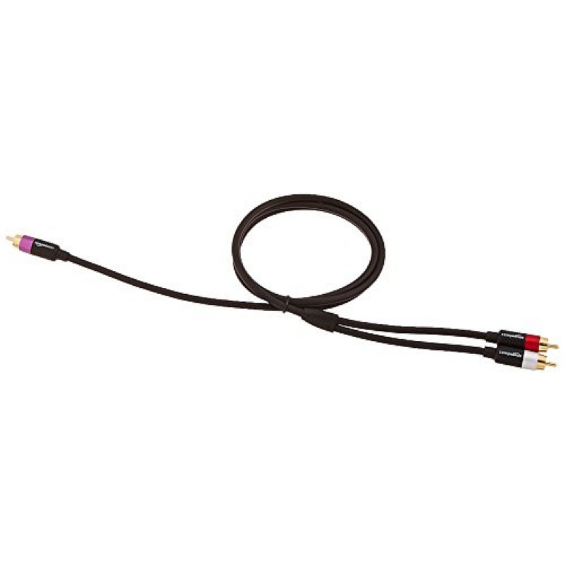 Amazon Basics 1-Male to 2-Male RCA Audio interconnects for DVD Player, Television - 4 feet, 1-Male to 2-Male