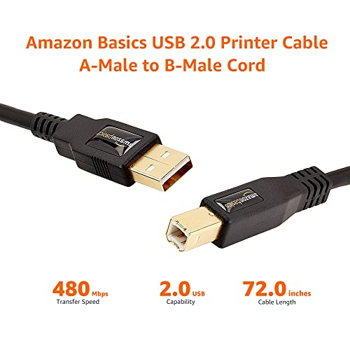 AmazonBasics USB 2.0 Cable - A-Male to B-Male for Personal Computer, Printer - 6 Feet (1.8 Meters)- Black AmazonBasics USB 2.0 Cable - A-Male to B-Male for Personal Computer, Printer - 6 Feet (1.8 Meters)- Black