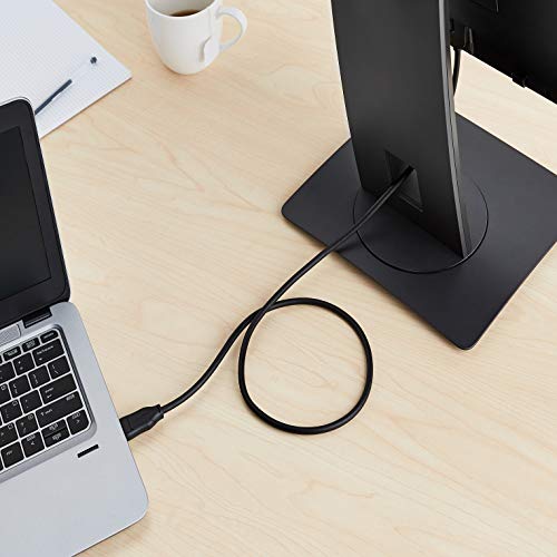 AmazonBasics DisplayPort to DVI Display Adapter Cable - 10Feet,3 m-Pack, Black AmazonBasics DisplayPort to DVI Display Adapter Cable - 10Feet,3 m-Pack, Black