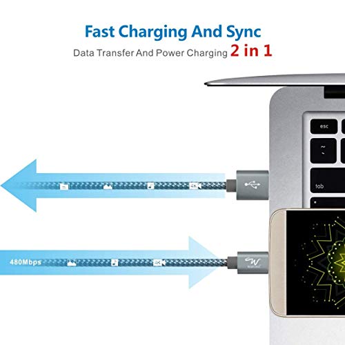 Wayona USB Type C 65W Fast Charger Cable Fast Charging USB C Data Cable Compatible for Samsung Galaxy (3 FT Pack of 1, Grey) Wayona USB Type C 65W Fast Charger Cable Fast Charging USB C Data Cable Compatible for Samsung Galaxy (3 FT Pack of 1, Grey)