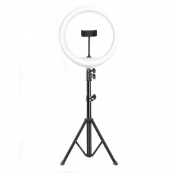 DIGITEK® (DRL-14C) Professional (31cm) Dual Temperature LED Ring Light with Tripod Stand for YouTube, Photo-Shoot, Video Shoot,