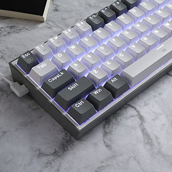 Redragon K617 Fizz Wired RGB Gaming Keyboard Mechanical Keyboard White