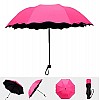 AIRTREE Magic Umbrella Changing Secret Blossoms Occur with Water Magic Print 3 Fold Umbrella for UV, Sun & Rain - Multi Colour