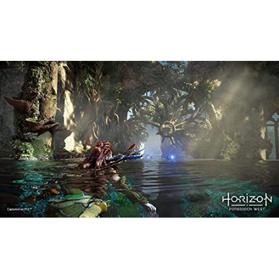 Sony Horizon Forbidden West Standard Edition PS5 Game PlayStation 5