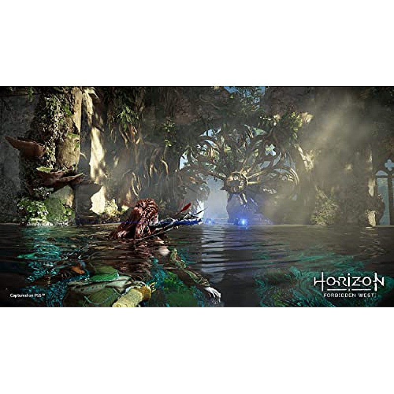 Sony Horizon Forbidden West Standard Edition PS5 Game PlayStation 5