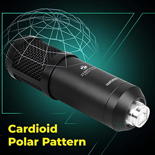 ZEBRONICS Zeb-Lucid PRO Desktop Mount Condenser Microphone with 2M USB Cable Black ZEBRONICS Zeb-Lucid PRO Desktop Mount Condenser Microphone with 2M USB Cable Black