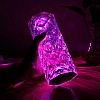 AIRTREE Lamp, Rose Diamond Table Lamp, 16 Colors RGB With Touch And Remote Control, USB Rechargeable Decorative Acrylic Rays lamp