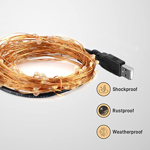 GIZGA essentials Copper LED Fairy String Lights with USB, High Brightness Party Light, 3 Meter, Warm White, Pack of 5 GIZGA essentials Copper LED Fairy String Lights with USB, High Brightness Party Light, 3 Meter, Warm White, Pack of 5
