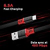 boAt Type C A750 6.5A Super Fast Charging Flat Cable Black