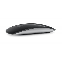 Apple Magic Mouse - Black Multi-Touch Surface - USB