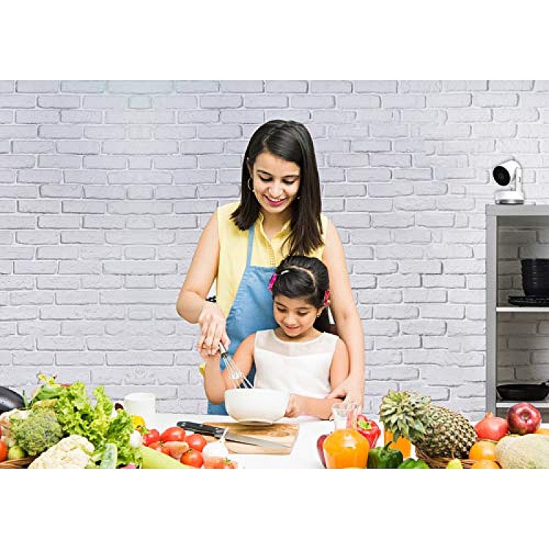 Godrej Security Solutions Eve Nx PT - Smart Home Security Camera