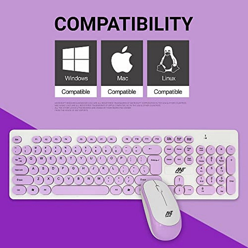 Ant Value FKBRI05 Wireless Keyboard Mouse Combo 110 Keys Full Size Ultra Thin Keyboard for Laptop (Blue)