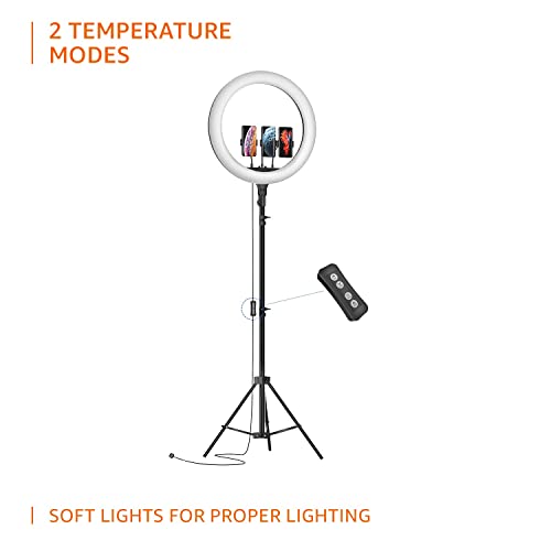 Amazon Basics LED Ring Light (14-inch) with Tripod Stand & Mini Tripod, and Dual Temperature Modes Amazon Basics LED Ring Light (14-inch) with Tripod Stand & Mini Tripod, and Dual Temperature Modes