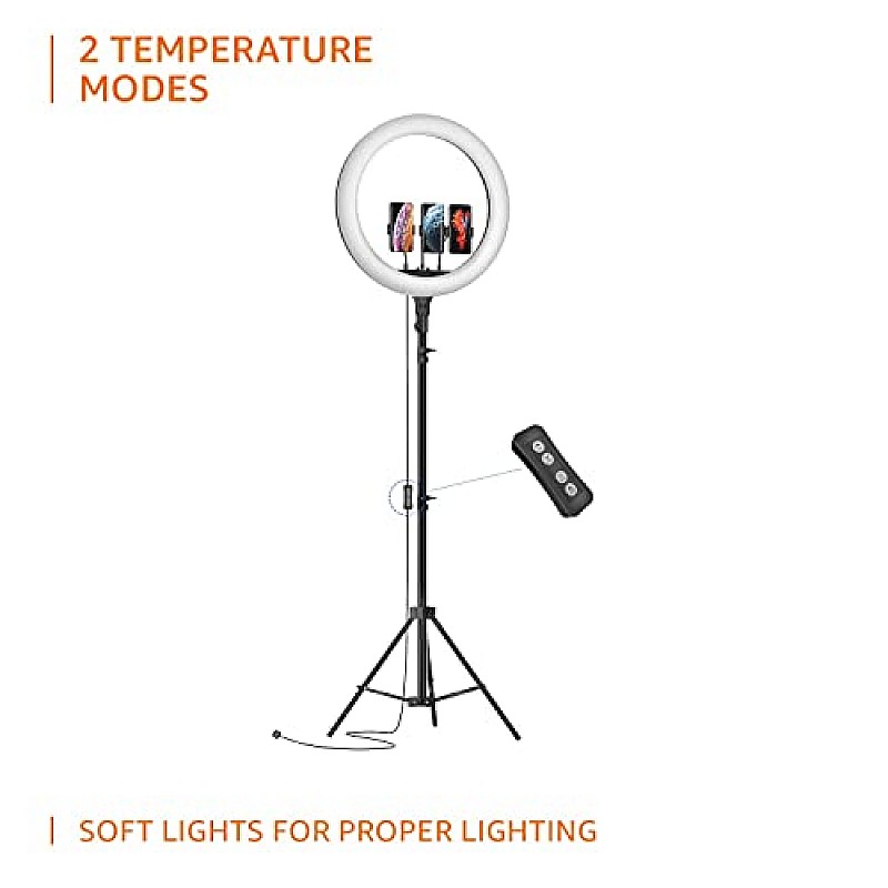 Amazon Basics LED Ring Light (14-inch) with Tripod Stand & Mini Tripod, and Dual Temperature Modes