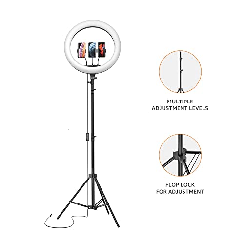 Amazon Basics LED Ring Light (14-inch) with Tripod Stand & Mini Tripod, and Dual Temperature Modes Amazon Basics LED Ring Light (14-inch) with Tripod Stand & Mini Tripod, and Dual Temperature Modes