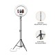 Amazon Basics LED Ring Light (14-inch) with Tripod Stand & Mini Tripod, and Dual Temperature Modes