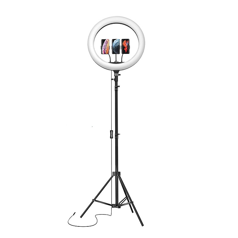 Amazon Basics LED Ring Light (14-inch) with Tripod Stand & Mini Tripod, and Dual Temperature Modes