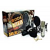 Rode NT2-A Large Diaphragm 3 Polar Pattern Studio Condenser Omnidirectional, Unidirectional XLR Microphone (Metallic)