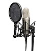 Rode NT2-A Large Diaphragm 3 Polar Pattern Studio Condenser Omnidirectional, Unidirectional XLR Microphone (Metallic)