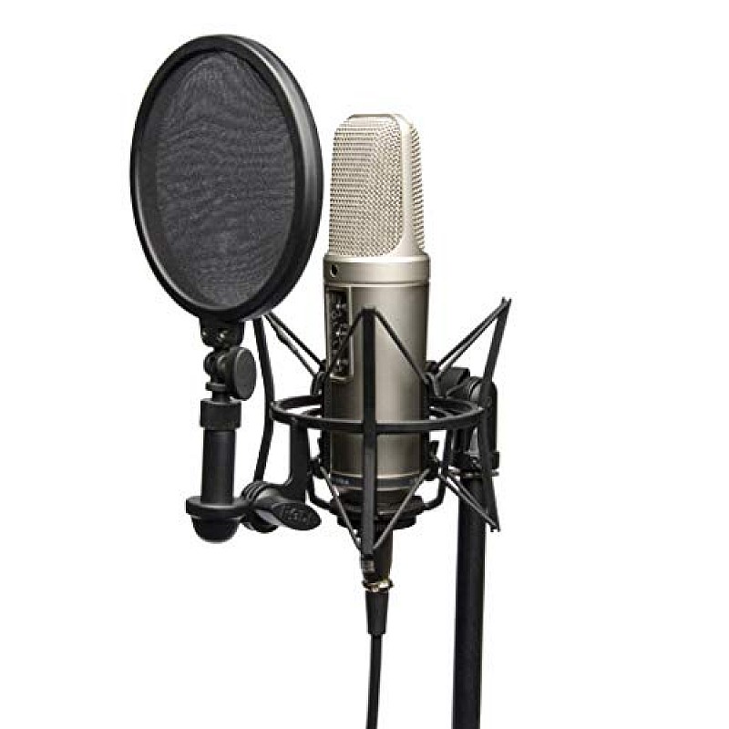 Rode NT2-A Large Diaphragm 3 Polar Pattern Studio Condenser Omnidirectional, Unidirectional XLR Microphone (Metallic)