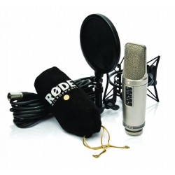 Rode NT2-A Large Diaphragm 3 Polar Pattern Studio Condenser Omnidirectional, Unidirectional XLR Microphone (Metallic)