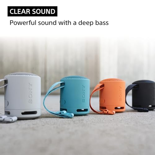 Sony SRS-XB100 Wireless Bluetooth Portable Lightweight Super-Compact Travel Speaker Sony SRS-XB100 Wireless Bluetooth Portable Lightweight Super-Compact Travel Speaker