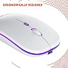 Amazon Basics Rechargeable Wireless Mouse with RGB LED Backlit 1600 DPI Ergonomic Mouse for Laptop, PC