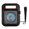 boAt PartyPal 20 15 Watt Wireless Bluetooth Party Speaker (Black)