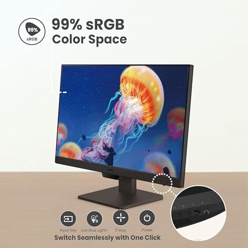 BenQ GW2490 24 1920x1080p FHD IPS Monitor 100Hz sRGB|Eye-careU|Dual HDMI (Black) BenQ GW2490 24 1920x1080p FHD IPS Monitor 100Hz sRGB|Eye-careU|Dual HDMI (Black)