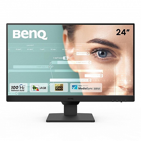 BenQ GW2490 24 1920x1080p FHD IPS Monitor 100Hz sRGB|Eye-careU|Dual HDMI (Black)