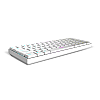 Ant Esports MK1500 Mini 60% Pro RGB Wireless Gaming Keyboard White