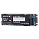 Gigabyte M.2 PCIe 256GB SSD (GP-GSM2NE8256GNTD) SSD 