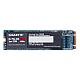 Gigabyte M.2 PCIe 256GB SSD (GP-GSM2NE8256GNTD) SSD 