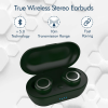 pTron Bassbuds in-Ear True Wireless Bluetooth 5.0 Headphones with Hi-Fi Deep Bass 20Hrs Playtime with Case