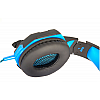 Redgear HellFury 7.1 USB Professional Gaming Headphones with LED and Mic for PC