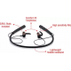 iBall EarWear Base BT 5.0 Neckband Earphone with Mic and 12 Hours Battery Life (Black)