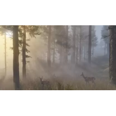 PS4 Red Dead Redemption 2  (for PS4)
