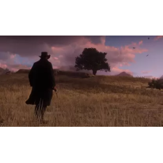 PS4 Red Dead Redemption 2  (for PS4)