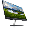 Dell S2421HN 60.96 cm (24 Inch) with IPS Panel Technology, 1920 x 1080 Resolution, Refresh Rate 75 Hz, Display Port, Silver Monitor