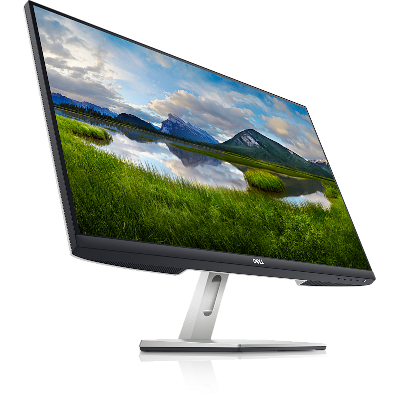 Dell S2421HN 60.96 cm (24 Inch) with IPS Panel Technology, 1920 x 1080 Resolution, Refresh Rate 75 Hz, Display Port, Silver Monitor