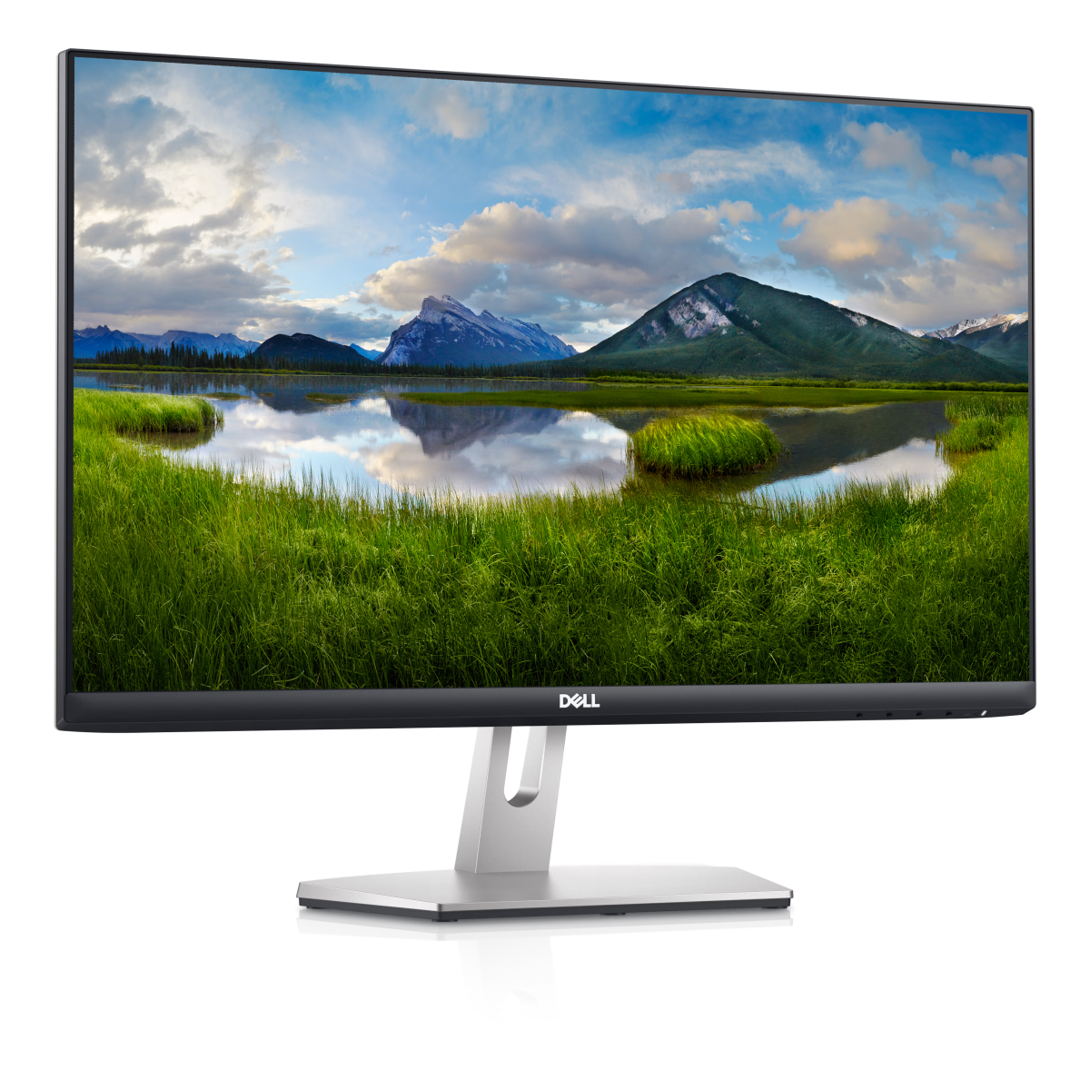 Dell S2421HN 60.96 cm (24 Inch) with IPS Panel Technology, 1920 x 1080 Resolution, Refresh Rate 75 Hz, Display Port, Silver Monitor